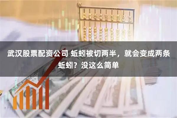 武汉股票配资公司 蚯蚓被切两半，就会变成两条蚯蚓？没这么简单